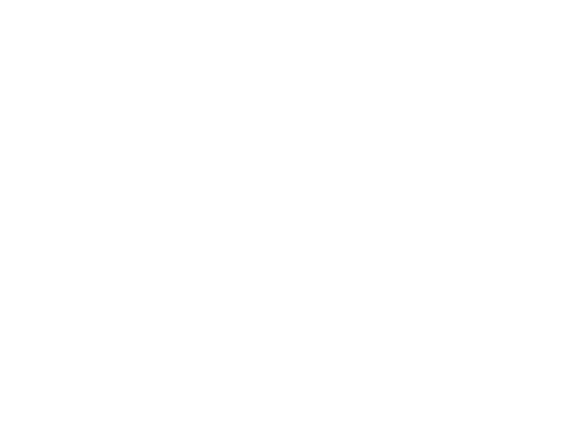 new para logo white
